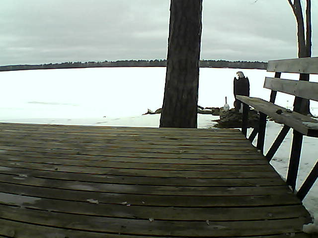 Whiteface Cam Image - Fri, 03/26/2021 2:45pm 