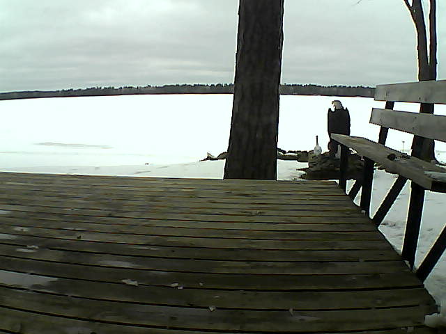 Whiteface Cam Image - Fri, 03/26/2021 3:01pm 