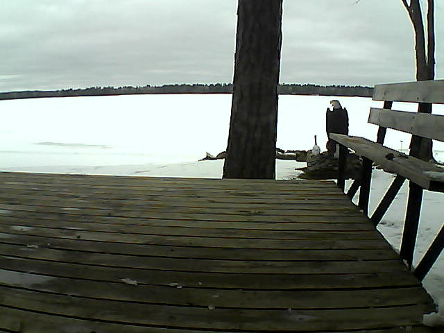 Whiteface Cam Image - Fri, 03/26/2021 3:33pm 