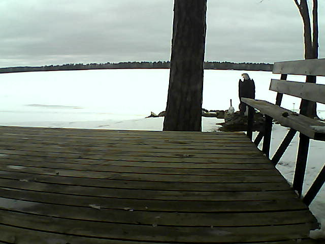 Whiteface Cam Image - Fri, 03/26/2021 3:47pm 