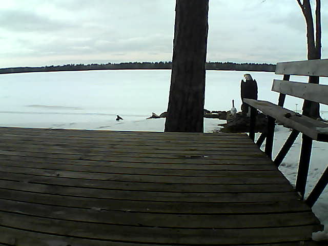 Whiteface Cam Image - Fri, 03/26/2021 5:40pm 