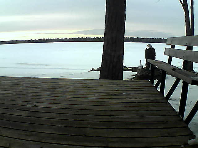 Whiteface Cam Image - Fri, 03/26/2021 7:01pm 