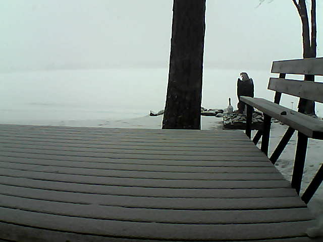 Whiteface Cam Image - Sat, 03/27/2021 9:46am 