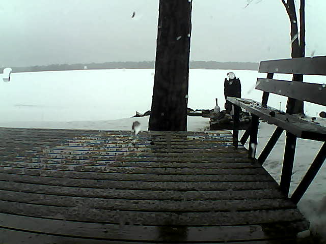 Whiteface Cam Image - Sat, 03/27/2021 5:18pm 