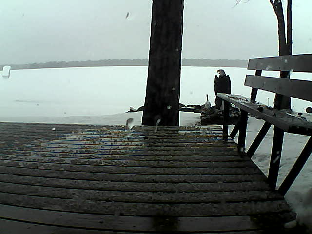 Whiteface Cam Image - Sat, 03/27/2021 5:36pm 