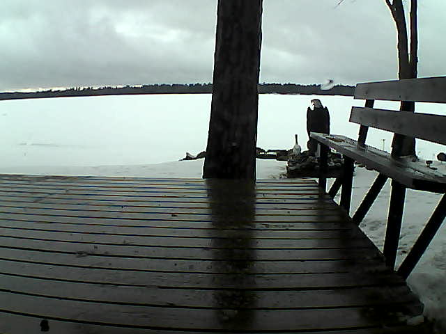 Whiteface Cam Image - Sat, 03/27/2021 7:04pm 