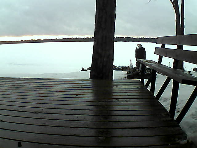 Whiteface Cam Image - Sat, 03/27/2021 7:22pm 