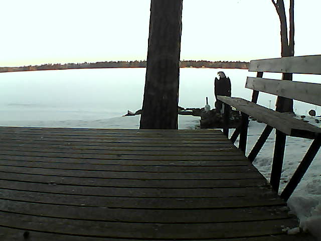 Whiteface Cam Image - Sun, 03/28/2021 7:05am 