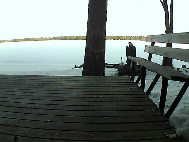 Whiteface Cam Image - Sun, 03/28/2021 7:48am 