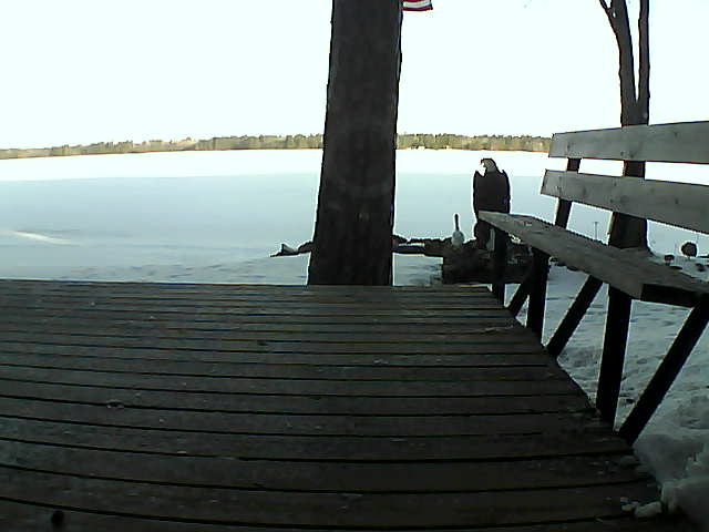 Whiteface Cam Image - Sun, 03/28/2021 8:02am 