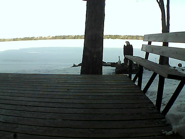 Whiteface Cam Image - Sun, 03/28/2021 8:27am 