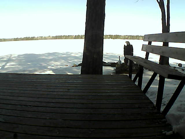 Whiteface Cam Image - Sun, 03/28/2021 10:07am 