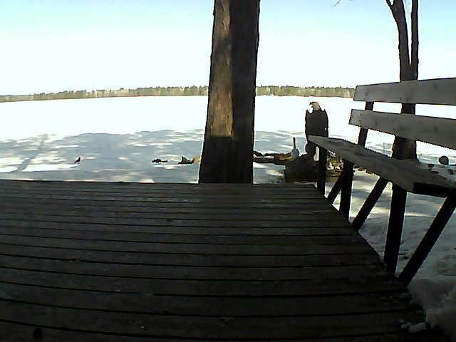 Whiteface Cam Image - Sun, 03/28/2021 10:19am 