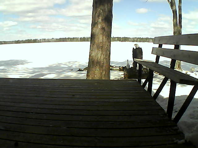 Whiteface Cam Image - Sun, 03/28/2021 11:27am 