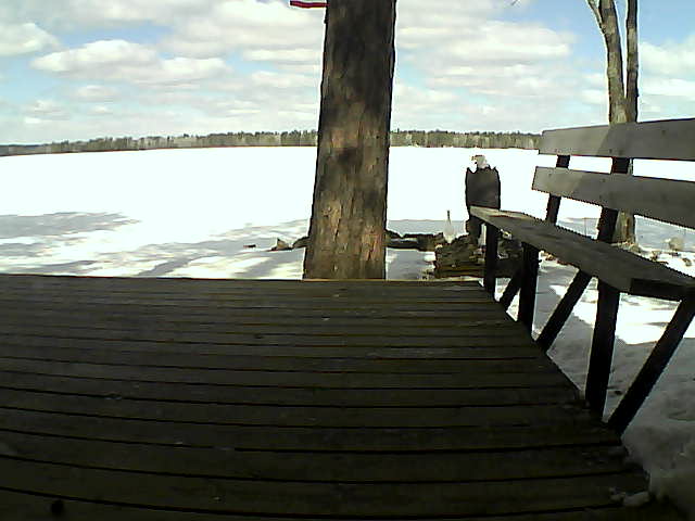 Whiteface Cam Image - Sun, 03/28/2021 11:43am 