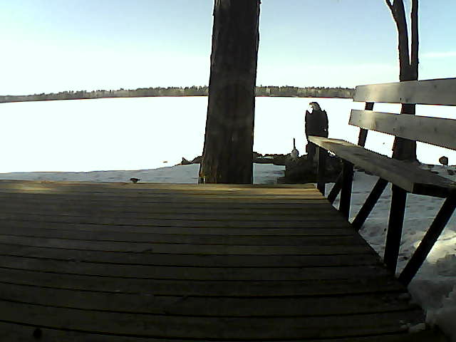 Whiteface Cam Image - Sun, 03/28/2021 4:29pm 