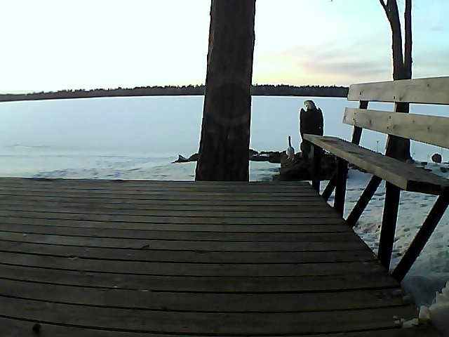 Whiteface Cam Image - Sun, 03/28/2021 7:30pm 