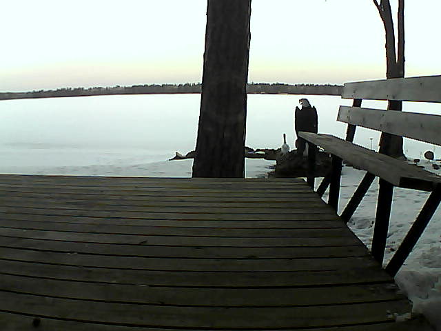 Whiteface Cam Image - Mon, 03/29/2021 7:07am 