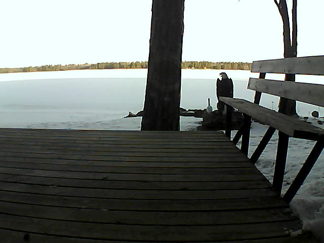 Whiteface Cam Image - Mon, 03/29/2021 7:46am 