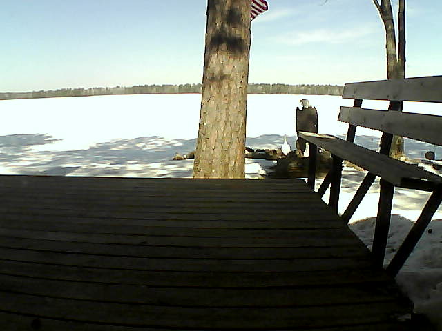 Whiteface Cam Image - Mon, 03/29/2021 11:17am 