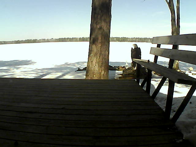 Whiteface Cam Image - Mon, 03/29/2021 11:37am 