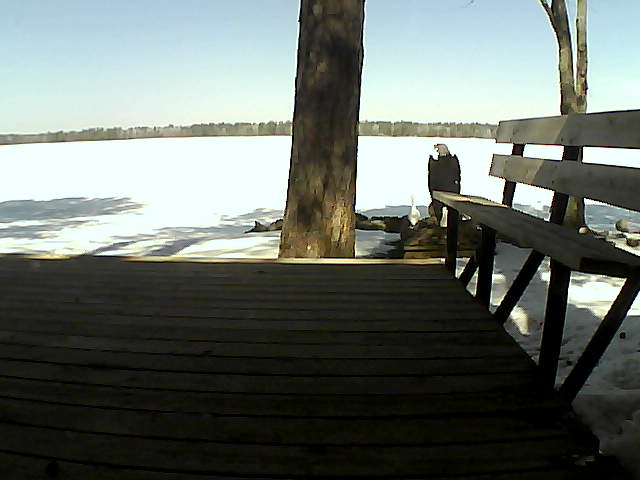 Whiteface Cam Image - Mon, 03/29/2021 11:53am 