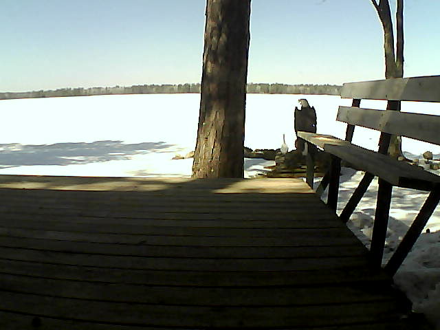 Whiteface Cam Image - Mon, 03/29/2021 12:48pm 