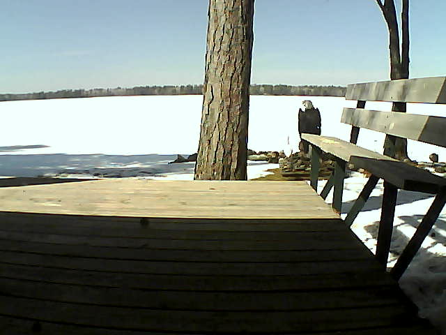 Whiteface Cam Image - Mon, 03/29/2021 2:02pm 