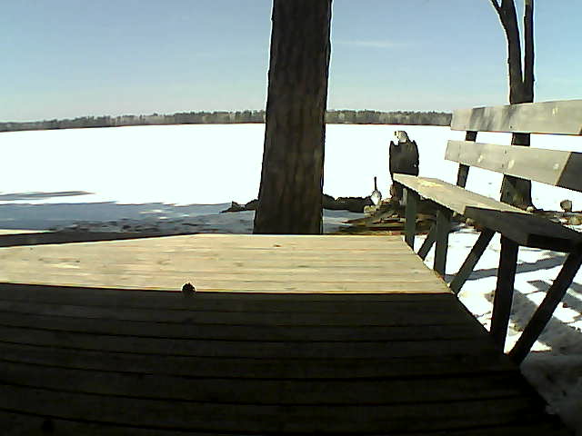 Whiteface Cam Image - Mon, 03/29/2021 2:18pm 