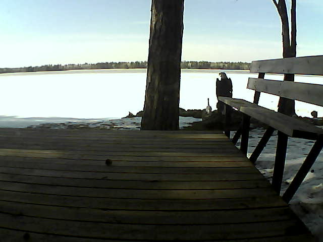Whiteface Cam Image - Mon, 03/29/2021 3:45pm 