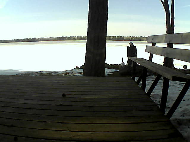 Whiteface Cam Image - Mon, 03/29/2021 3:59pm 