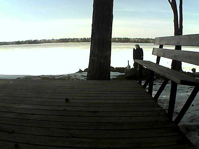 Whiteface Cam Image - Mon, 03/29/2021 4:13pm 