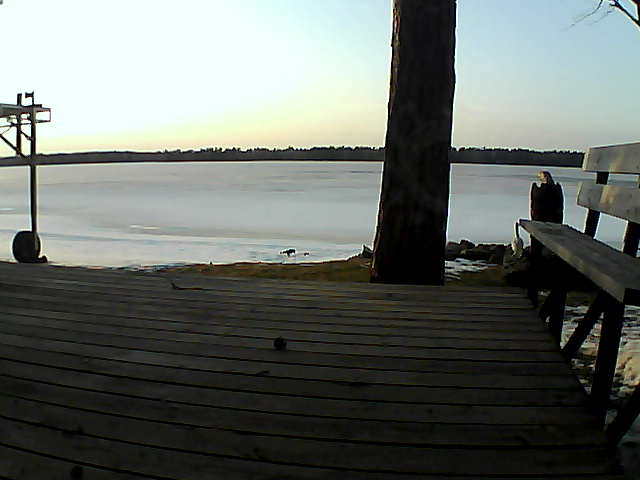 Whiteface Cam Image - Mon, 03/29/2021 7:04pm 