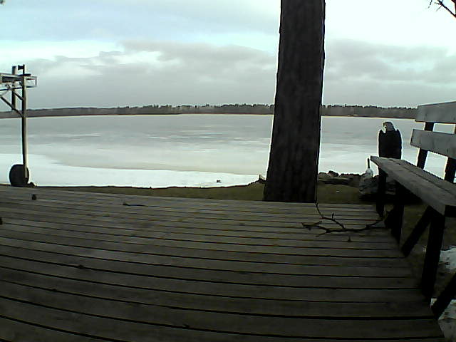 Whiteface Cam Image - Tue, 03/30/2021 7:18am 