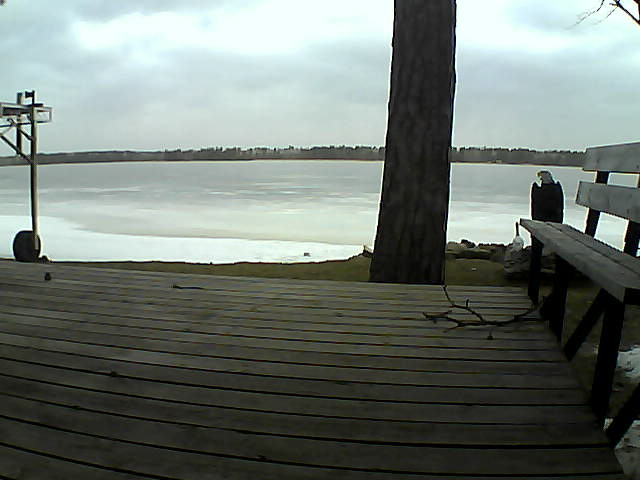 Whiteface Cam Image - Tue, 03/30/2021 7:43am 